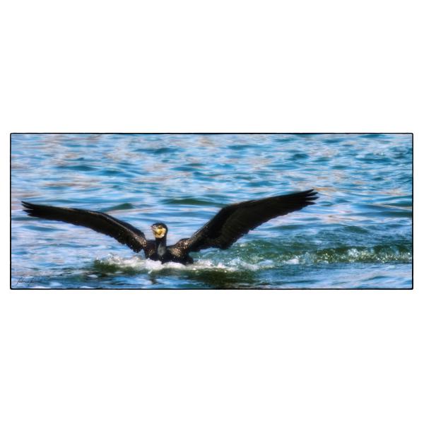 PHOTO84, CLUB, 84 , LUBERON